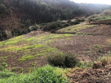 Terreno em Ponta do Pargo