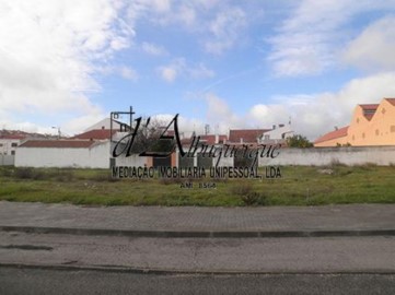 Terre à Ponte de Sor, Tramaga e Vale de Açor