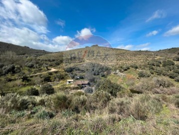 Quintas e casas rústicas 3 Quartos em Argozelo