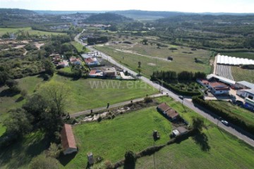 Terre à Santa Maria, São Pedro e Sobral da Lagoa