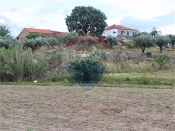 Country homes in Castelo Branco