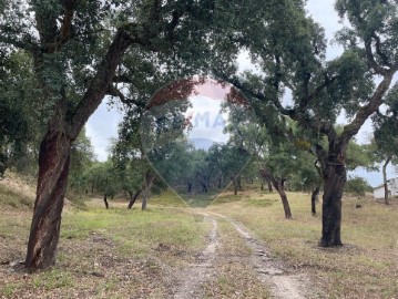 Terreno em Bemposta