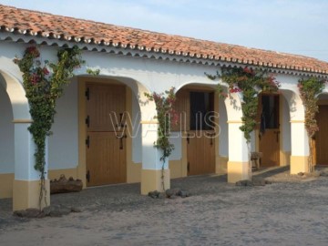 Quintas e casas rústicas 5 Quartos em Monforte