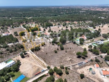 Terreno em Azeitão (São Lourenço e São Simão)