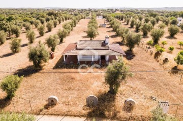 Quintas e casas rústicas 1 Quarto em São Bento do Mato