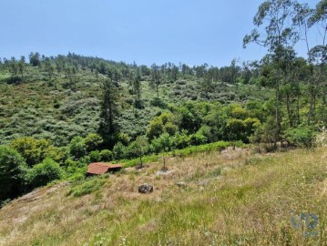 Terreno em Panque