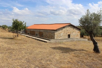 Quintas e casas rústicas em Escalos de Baixo e Mata