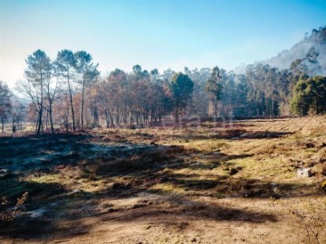 Terreno em Briteiros Santo Estêvão e Donim