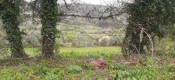 Terreno em Venda do Pinheiro e Santo Estêvão das Galés