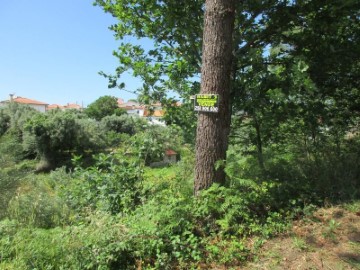 Terreno em Ribeira