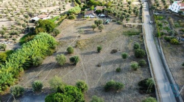 Maisons de campagne 2 Chambres à Sé e São Lourenço