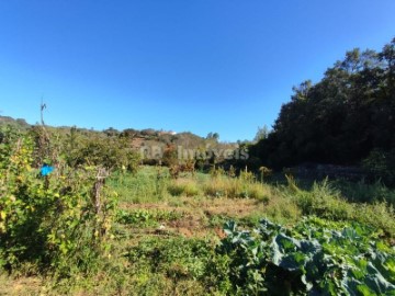 Terreno em Além da Ribeira e Pedreira