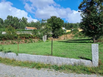 Land in Antime e Silvares (São Clemente)