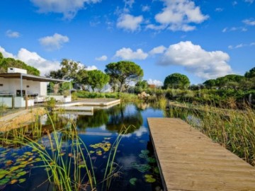 Quintas e casas rústicas 5 Quartos em Grândola e Santa Margarida da Serra