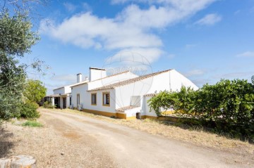 Quintas e casas rústicas 5 Quartos em Arraiolos