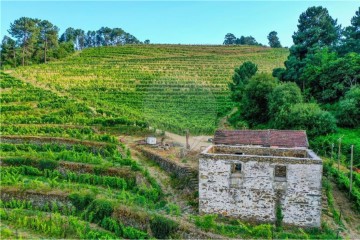 Quintas e casas rústicas em Sedielos