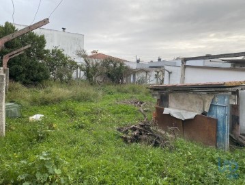 Terreno em Azeitão (São Lourenço e São Simão)