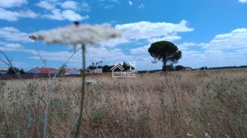 Terreno em Glória do Ribatejo e Granho