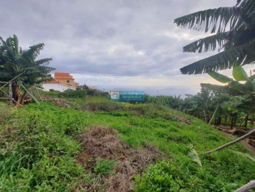 Terreno em Ponta do Sol