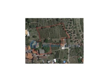 Quintas e casas rústicas em União das freguesias de Vila Real