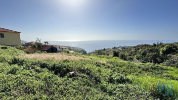 Terreno em Estreito da Calheta