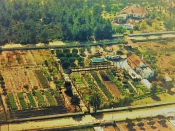 Maisons de campagne 3 Chambres à Fernão Ferro