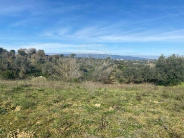 Terreno em Torres Novas (Santa Maria, Salvador e Santiago)