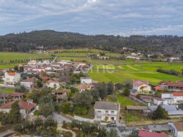 Terreno em Campo e Tamel (São Pedro Fins)