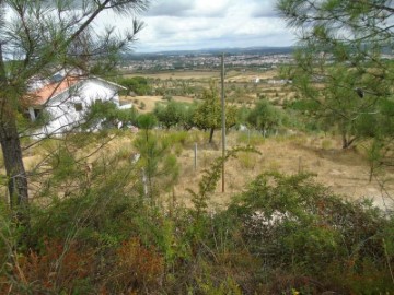 Terreno em Abrantes (São Vicente e São João) e Alferrarede