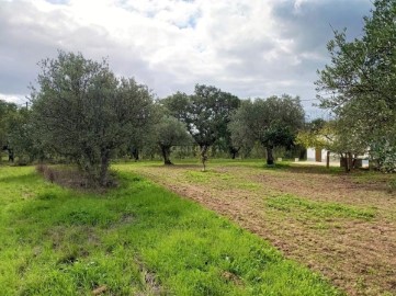 Quintas e casas rústicas 3 Quartos em Abela