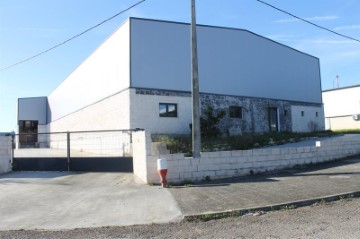 Industrial building / warehouse in Montalvo