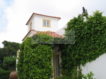 Quintas e casas rústicas 11 Quartos em São João das Lampas e Terrugem