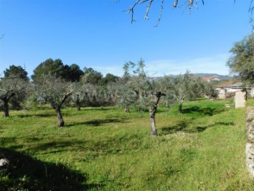 Country homes in Alpedrinha