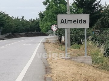 Terre à Almeida