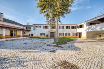 Quintas e casas rústicas 10 Quartos em Chamusca e Pinheiro Grande