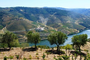 Country homes 4 Bedrooms in Covas do Douro