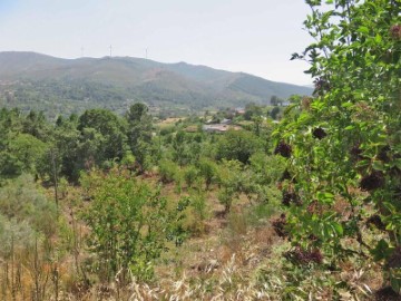 Land in São João de Tarouca