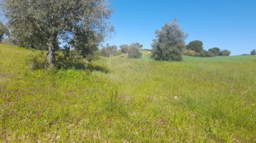 Terreno em Casével e Vaqueiros