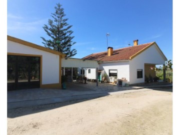 Casa o chalet 4 Habitaciones en Azoia de Cima e Tremês