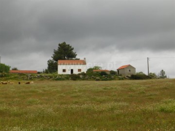 Maisons de campagne 2 Chambres à Vale de Prazeres e Mata da Rainha