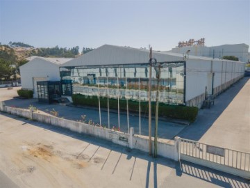 Industrial building / warehouse in Rio Maior
