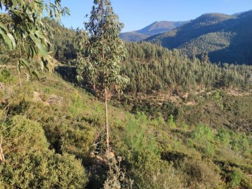 Terreno em Alvarenga