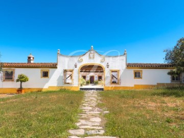 Quintas e casas rústicas 9 Quartos em Terena (São Pedro)