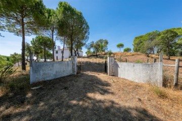 Quintas e casas rústicas 6 Quartos em Redondo