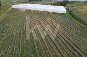 Terreno em Ladoeiro