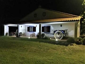 Quintas e casas rústicas 5 Quartos em Vila Nova da Baronia