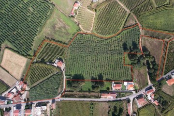 Quintas e casas rústicas em Torrados e Sousa