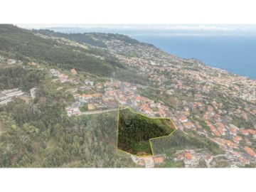 Terrenos en Funchal (Santa Maria Maior)