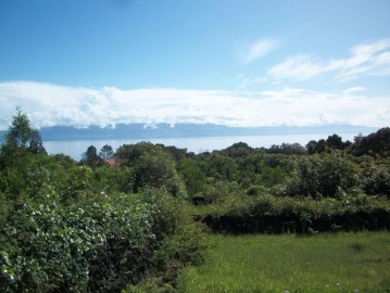 Terre à São Roque do Pico