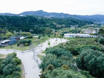 Terre à S.Maria e S.Miguel, S.Martinho, S.Pedro Penaferrim